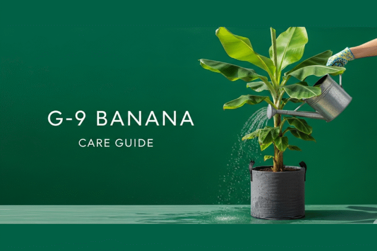 How to Grow and Care for G-9 Banana Plants: A Complete Guide