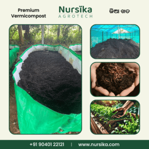 Premium Vermicompost