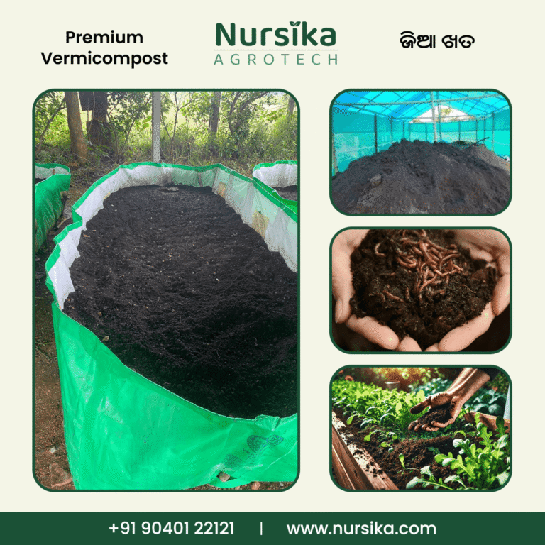Premium Vermicompost