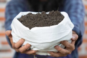 Buy Best Vermicompost